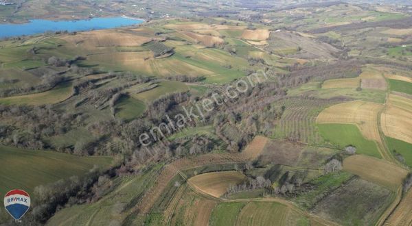 Remax Canan Günay Kandıra Selimköy Satılık 1896 M2 Tarla