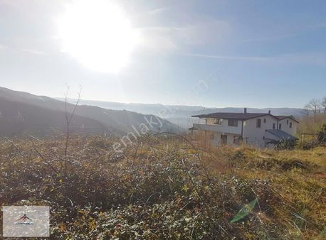 Manzara Olsun İlçeye Yakın Olsun Camisi Bakkalı Olsun Diyorsan