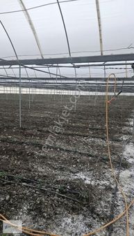 Arıkbaşı Mahallesinde Satılık Sera Tarla