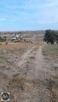 Edirne Uzunköprü Başagıl Satılık 15.400.00 M2 Tarla