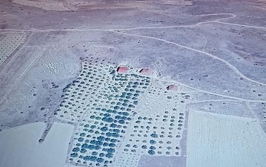 King House Kurumsaldan Yatırımlık Tarla