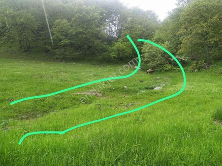 Bilecik İnhisar Hisarcık,ta Acil Satılık 2200m2 Tarla