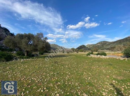 Coldwell Banker Uzmandan İçerisinde Kuyu Bulunan Tarla