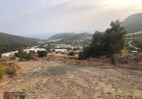 Çağlayan Emlaktan Yanışlı Mahallesinde Satılık Tarla