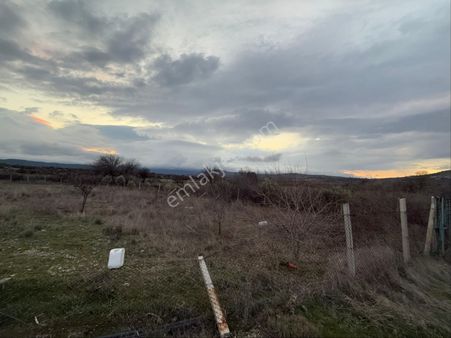 Akçinler Gayrimenkulden Manisa Osmancalı’da 5.850 M² Tarla – Emsali Fabrika – 6.000.000 Tl