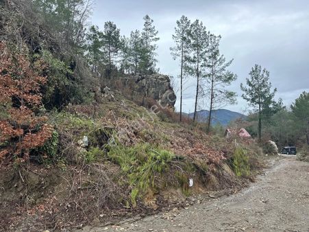 Alanya Asmaca Mahallesi Satılık Tarla