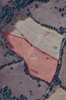 Çanakkale Lapseki Çamyurt Satılık Tarla Yatırımlık 7 Dönüm Arazi