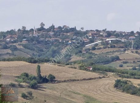 Tekirdağ Süleymanpaşa Yeniköy'de 453 M2 Müstakil Satılık Tarla