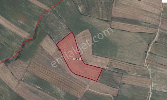 Yanıkağıl Kapaklı'da 19.250 M2 Tarla Fırsat Fiyata Kaçmaz !!!