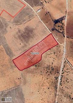 Tesfen Gayrimenkulden Bilekte Yatırımlık Tarla