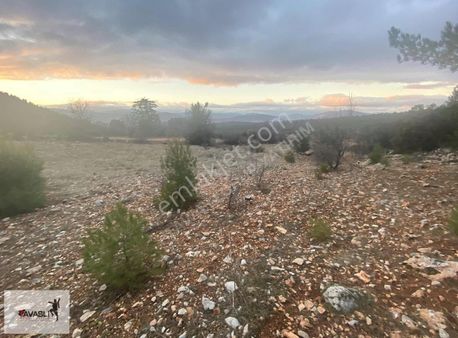 Tavaslı Grup Yatırım'dan Derinkuyuda Fırsat Arazi