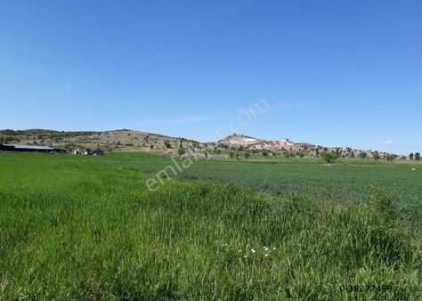 Kayseri, Kocasinan, Hasanarpa'da, 2870 M2 Tarla