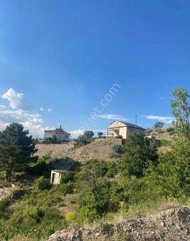 Kayseri, Kocasinan, Taşhan'da, Bağ(içinde Eski Bağevi Var)