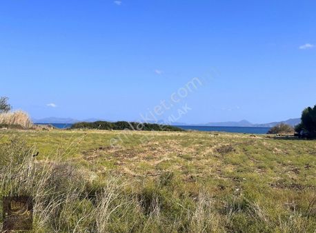 Ela Emlak'tan Datça Kızlanaltında Denize Yakın Tarla