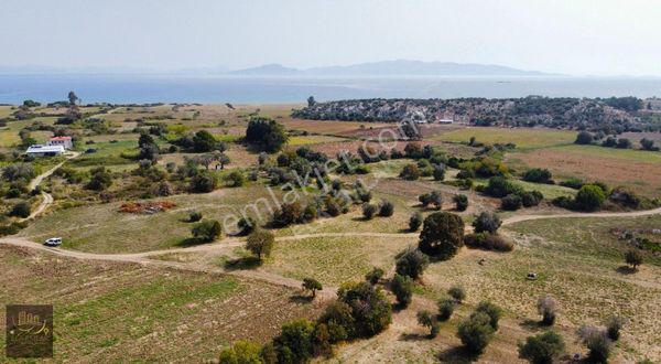 Ela Emlak'tan Datça Kızlan'da Satılık Tarla