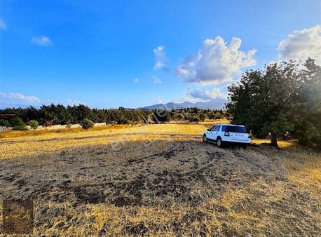 Datça Ela Emlak'tan Kızlan Köyünde Satılık 7.300 M² Tarla