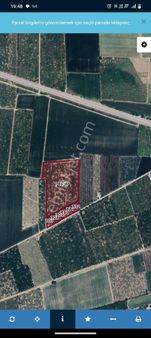 Satılık Bahce 46 Dönüm