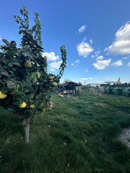 Turpa Taşdemir'den Bulgurca'da 300 M2 Satılık Hobi Bahçesi