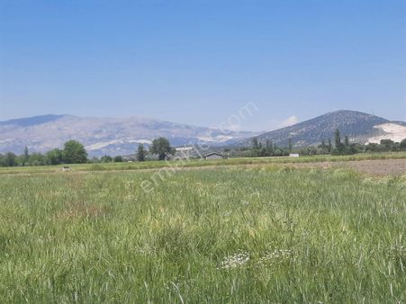 Güzelköyde Tarla Fırsatı