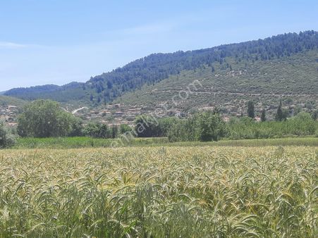 Yatağan Bozüyükte Tarla