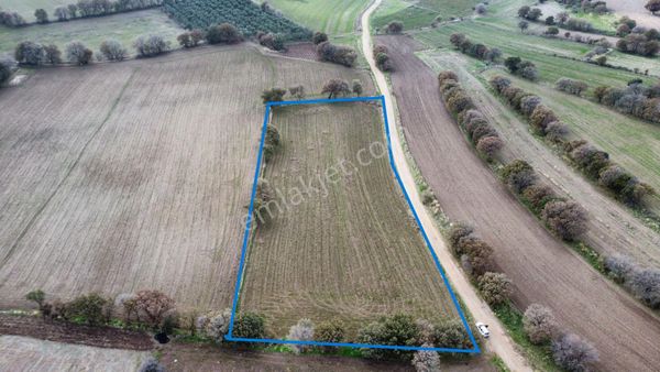 Ayvacık Kösedere Köyünde 7300 M2 Satılık Tarla Han Emlak'tan