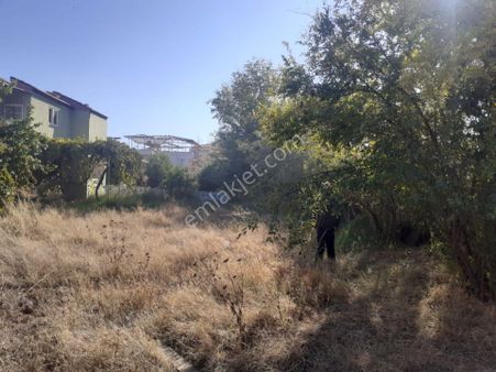 Acıpayamda Satılık Yatırımlık Tarla