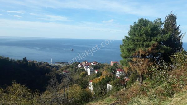 Doğa Ve Denız Manz 1841mkrvillalık Arazi