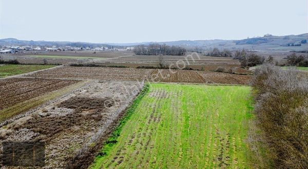 7d Gayrimenkulden Satılık Kocaeli De Yatırımlık Tarla