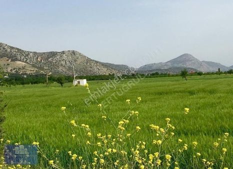 Bademagacı 4.589m2 Tarla Yatırım Bölgesi