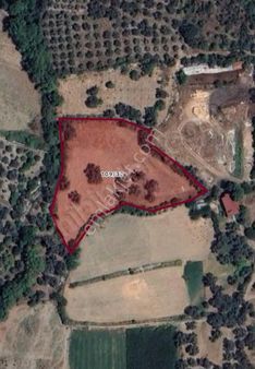 Söğütlüdere'de 6.032 M2 Köy Yerleşim Yerinde Arsa