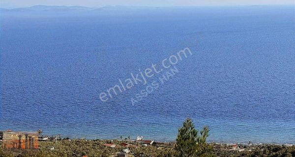 Assos Bölgesi Sazlı Köyünde Full Deniz Manzaralı Zeytinlik