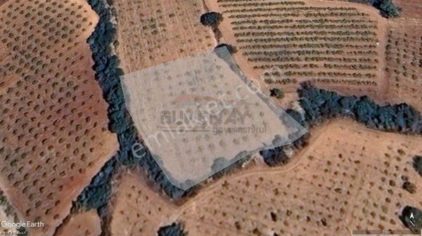 Denizli Çal Çalçakırlar Mevkii 2,254 M² Satılık Bağ