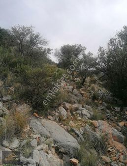 Antalya Kaş Çayköy Satılık Tarla