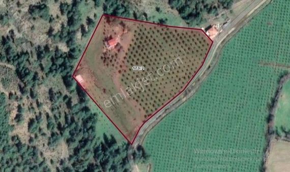 Köyceğiz Beyobası'nda Satılık 19.070 M2 Bahçe 23.000.000 Tl