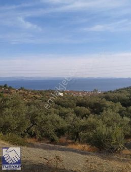 Narlı'da Kadastral Yola 50 Mt Cepheli Yapı Ruhsatı Alınmış Arsa