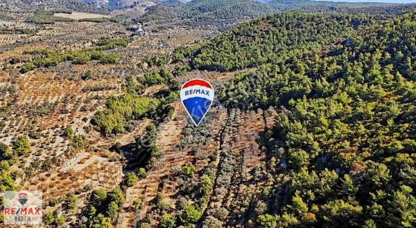 Datça Satılık Bağ Bahçe Evi İmarına Uygun Arazi Sındı Mah. Zeytincik'te