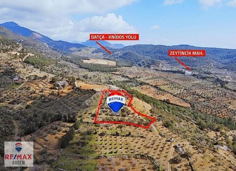 Datça Sındı Mahallesi'nde 6686 M2 Deniz Manzaralı Satılık Tarla