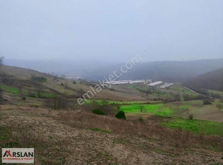 Kocaeli İzmit Kaynarca Da Müthiş Manzara Ve Doğasıyla 2319m2 Yer