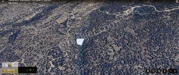 Uygun!çine'ye İlçe'ye 5dk.kadastro Yollutek Tapu 825m2 Zeytinlik