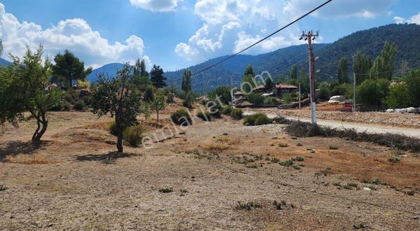 İncealiler Köyiçinde 800m² Arazi