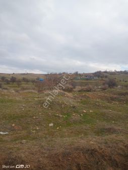 Seven Gayrimenkul'den Balışeyh 5.468m2mandıra