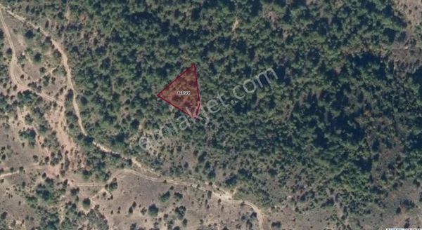 Sakarya Pamukova Çilekli Mahallesi'nde Satılık Arazi