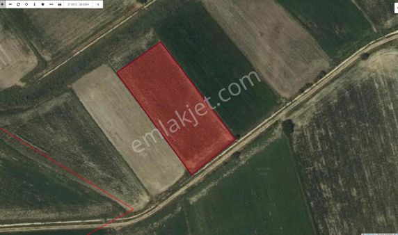 Ayşahtan Pamukkale Ovasında Lazer Tesviyeli Satılık Sulak Arazi