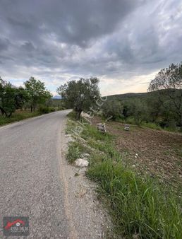 Havran Kalabakta Asfalt Yola Cephe Hobi Bahçesi Ve Zeytinlik****