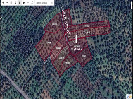 Burhaniye ' Muhteşem Saklı Bahçe / Zeytinlik