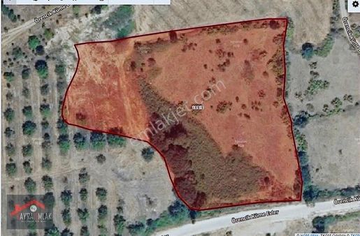 Çanakkalenin İncisi Yenice Örencikte Satılık 9618 M2 Tarla