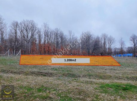 Saray Küçükyoncalıda Orman Cepheli Çaplı Muvafakatnameli Tarla.