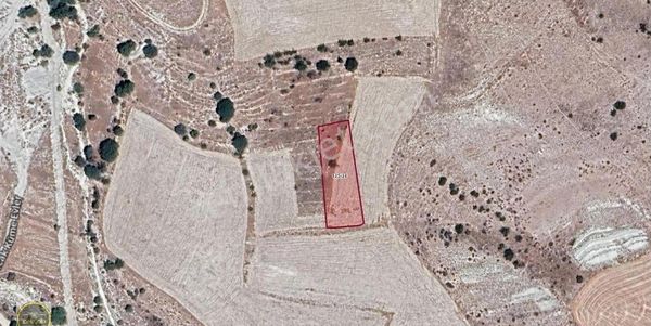 İpekyolu Gayrimenkul Den Kuyucak 903 M2 Satılık Bahçe