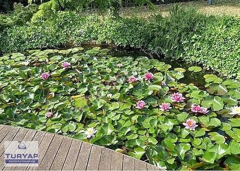 Silivride Kupon Satılık Arsa