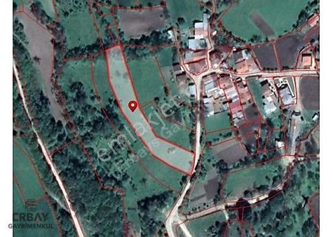 Bolu Saççılar Köyünde Hobi Bahçesi